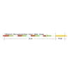 Loomis & Franklin XP Sense Fly Line Euro Nymph #0-5 23,4+1m Camou Vliegvis Hoofdlijn