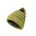 Delphin petten