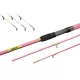 Delphin Queen Feederhengel + 3st toppen / 360cm/100gr/3 delen