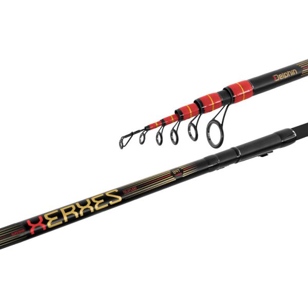 Delphin XERXES TeleFLOAT 390cm Bolognese hengel 30gr Schrink 7