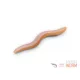 Delphin B! StinxWorm Garnaal Zachte Kunstaas 4cm