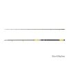 Delphin HAZARD BxG 310cm, 505g, 2-Delige Meervalhengel