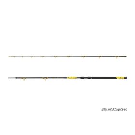 Delphin HAZARD BxG 310cm, 505g, 2-Delige Meervalhengel