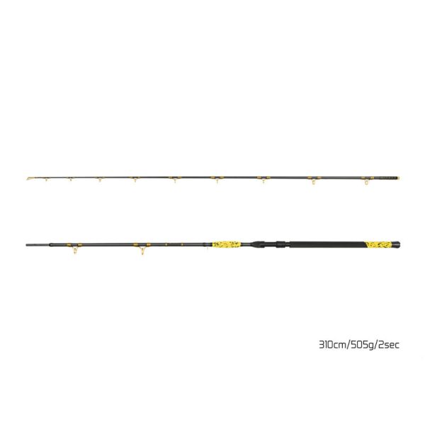 Delphin HAZARD BxG 310cm, 505g, 2-Delige Meervalhengel