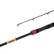 Delphin MURENA POWER 300cm/125g/2 delen spinhengel
