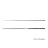 Delphin MURENA POWER 300cm/125g/2 delen spinhengel