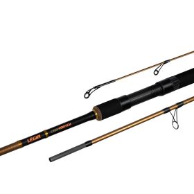 Delphin Legia CarpMatch 330cm 75gr 3-delige Match Hengel