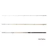 Delphin Legia CarpMatch 390cm 75gr 3-delige Match Hengel