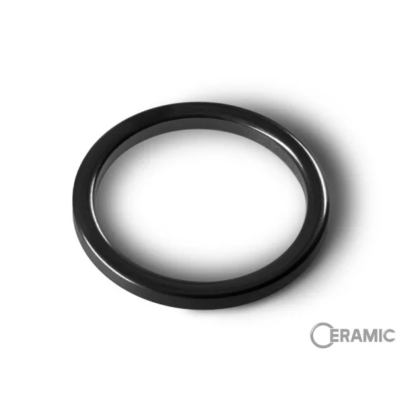 Delphin CERAMIC Ringenset #50 2 stuks