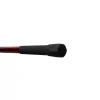 Delphin Amulet Carp 3,60m 3lbs 3-delige boiliehengel