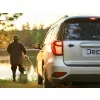Delphin Carp 3D Sticker Zwart