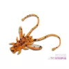 Delphin B! Stinx Nympha Fruity 2,5cm Kunstaas 20st