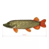 Delphin Piky Pluche Snoek 60cm