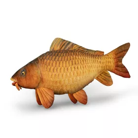 Delphin Carpy Pluche Karper 60cm