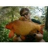 Delphin Carpy Pluche Karper 60cm