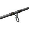 Delphin RIVER Trophy feederhengel + 4 toppen 300cm/160g