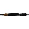 Delphin RIVER Trophy feederhengel + 4 toppen 300cm/160g