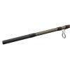 Delphin LEGIA feederhengel II + 3 toppen 330cm/80g