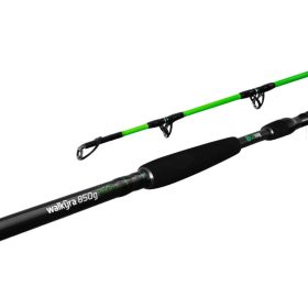 Delphin Walkyra 2,60m 850gr 2-delige Meervalhengel