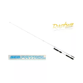 Rapture Seapatrol 2,2m 5-30gr 1+1-delige Spinhengel