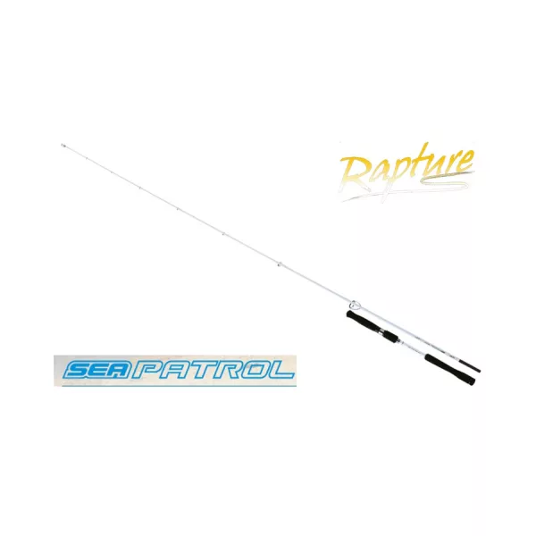 Rapture Seapatrol 2,43m 15-70gr 1+1-delige Spinhengel