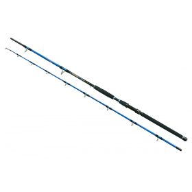 Wizard Cat Pro Power 2-delig 600-800gr 3,00m Meervalhengel