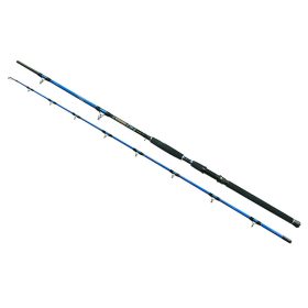 Wizard Cat Pro Power 2-delig 800-1000gr 3,00m Meervalhengel
