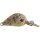 Rapture Pro Hot Buzz Area S COL 2,5cm 3gr Plug