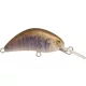Rapture Pro Hot Bean Area S BRT 3,5gr 4cm Plug