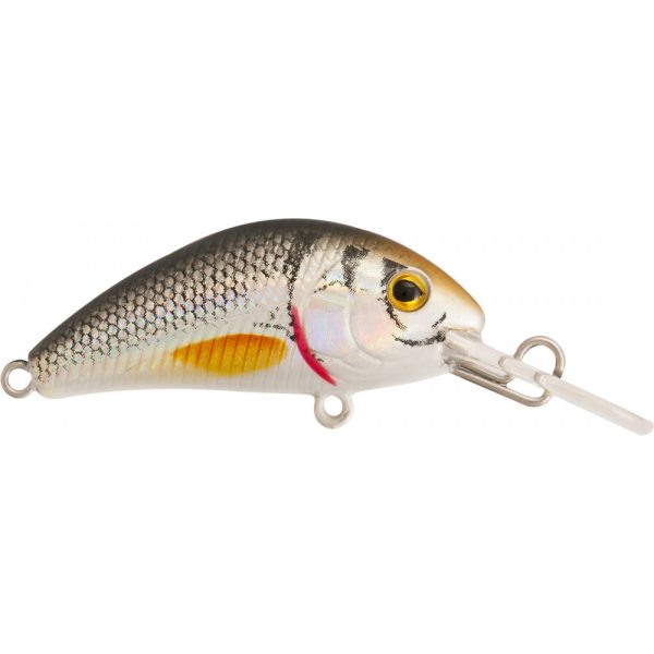 Rapture Pro Evoque F NTR 4cm 3,5gr Plug