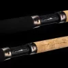 NEVIS Motive Carp Match 360 30g Match hengel