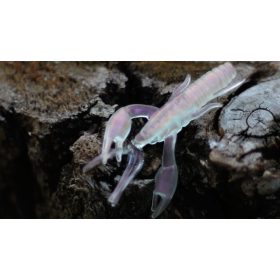   Rapture ULC Alive Craw 5cm 1,8gr Pearl Pink Zacht Rubber Aas 12 stuks