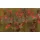 Rapture ULC Crayfish 5,3cm 1,7gr Watermelon RF Zacht Rubber Kunstaas 8 stuks