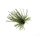 Rapture TG Finesse Rub Jig 3,5gr #01 Watermelon Skirted Jig