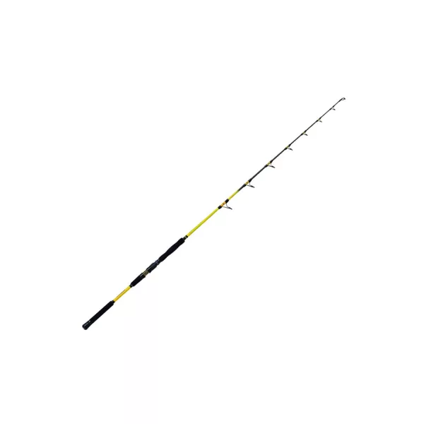 Catgear X-Rock Verticaal 1,8m 200gr 1+1-delige Meerval Hengel