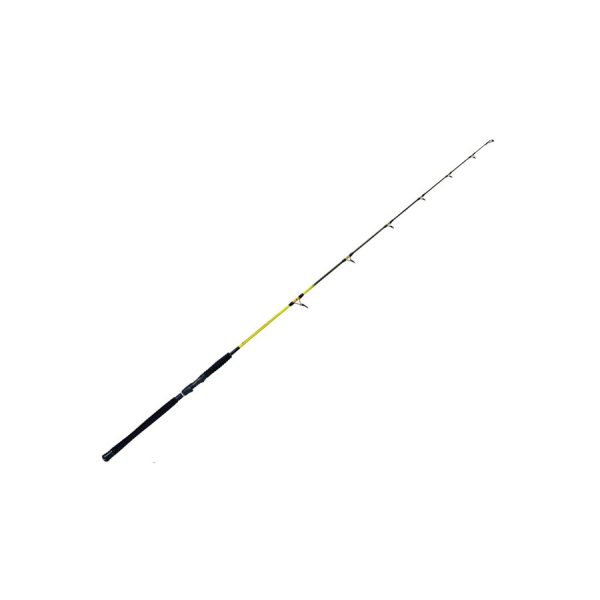 Catgear X-Rock Solid Stick 1,95m 200+gr 1+1-delige Meerval Hengel