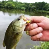 Tiemco Necromancer 6,5gr 4,5cm 04 Purple Gill Spinnerbait
