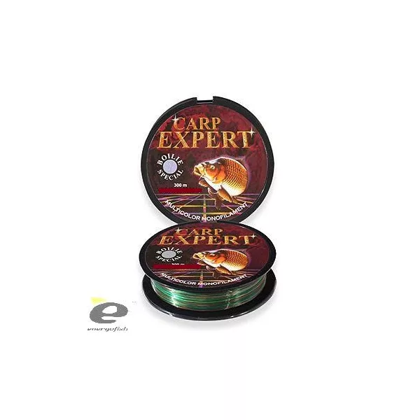 Lijn Carp Expert Boilie Special 0,35Mm 300M