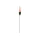 Dobber C9 5G