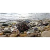 Nevis River 150gr Zijfeeder