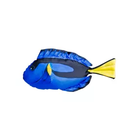 Viskussen Dory Baby