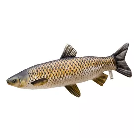Vissen Kussen Amur Reus