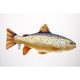 EnergoTeam The Brown Trout 62cm Viskussen