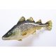 EnergoTeam The Atlantic Cod 75cm Viskussen