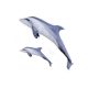 EnergoTeam The Bottlenose Dolphin Grey 55cm Viskussen