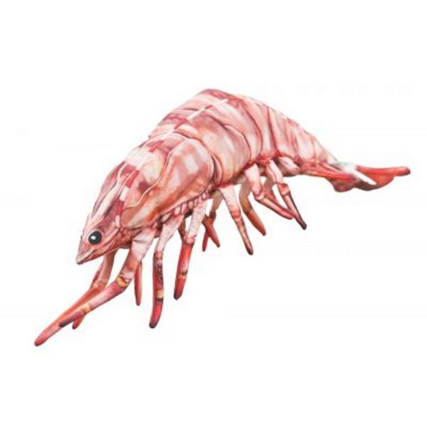 EnergoTeam The Tiger Prawn 65cm Viskussen