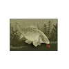 Delphin CatchME! Deurmat Karper