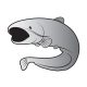 Delphin Zelfklevende meerval SILVER