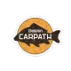 Zelfklevend Delphin CARPATH 95x75mm