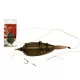Carp Expert Method Rig Aaspin Tuigage 50gr + 10 Spikes